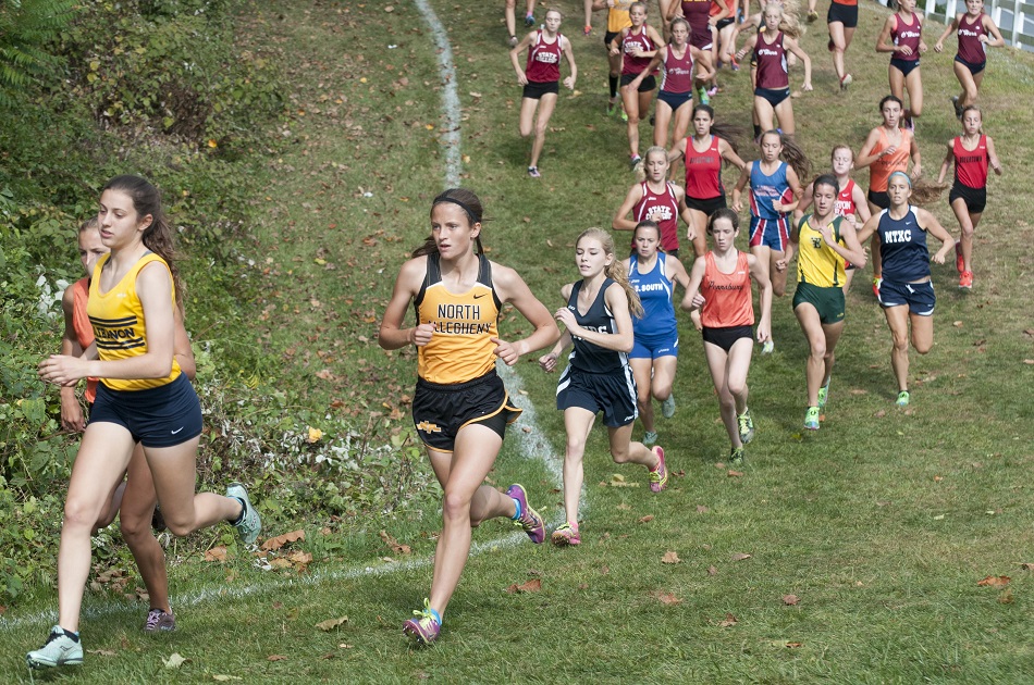 Good Showing For NA Cross Country At TriState Invitational North