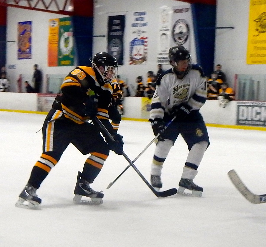 NA Ice Hockey Tripped Up By Central Catholic, 3-1 - North Allegheny