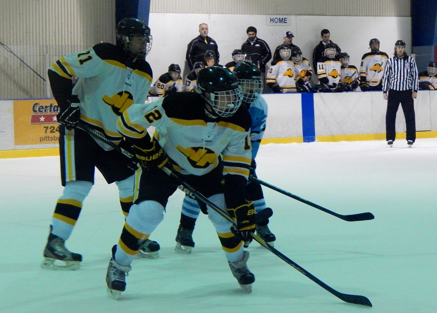 NA Ice Hockey Hammers Norwin, 9-0 - North Allegheny Sports Network