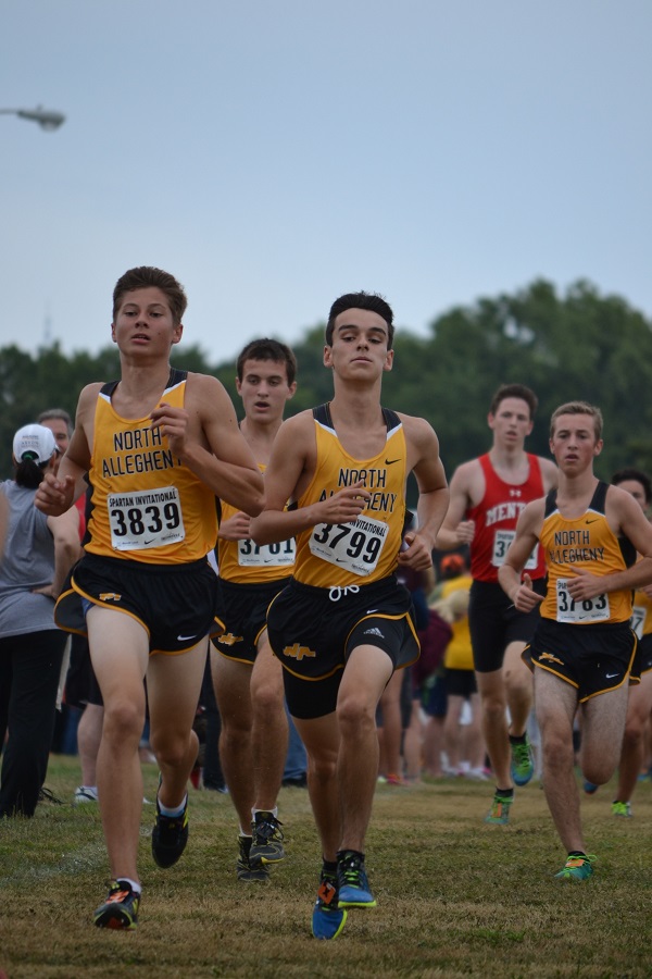 Tigers Finish Strong At PIAA Foundation Meet North Allegheny Sports