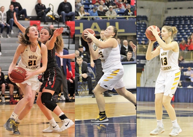 Three Tigers To Play In Annual Roundball Classic North Allegheny