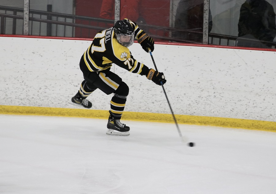 Central Catholic Vikings Hockey