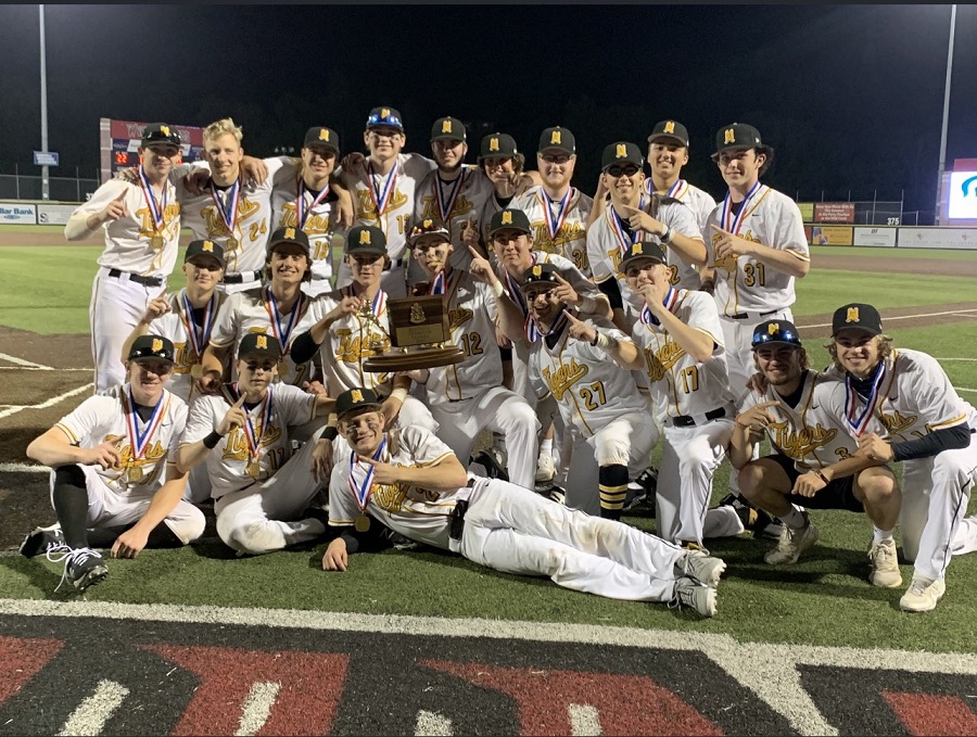 Tigers Win Record 8th WPIAL Baseball Crown With 40 Shutout of