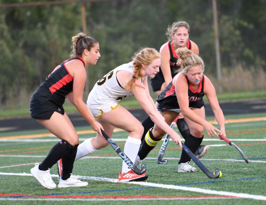 Tigers Roll To 7-1 Win Over Foxes - North Allegheny Sports Network