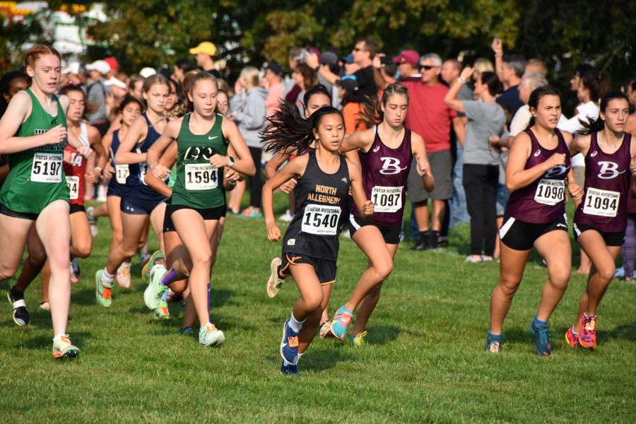 Tigers Win Team, Individual Titles At Boardman Invitational North