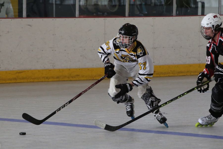 Inline Hockey