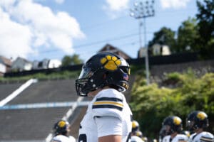 Football player in helmet with a paw logo on a sunny day at a stadium, teammates blurred in the background.