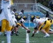 Football teams in yellow and white uniforms face off on the field, ready to start a play.