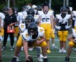 Football players in yellow uniforms lined up on the field, ready for a play during a game.