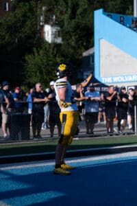 Football player in yellow uniform and helmet on sidelines, holding ball next to a crowd, sunny day at sports event.