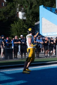 Football player on field in yellow and black uniform holding the ball, with spectators in the background.