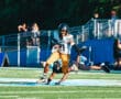 Football player in black and yellow evades tackle on field during a game, with spectators in background.