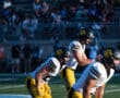 Football players in yellow uniforms ready for play on field during sunny day game, with crowd in background.
