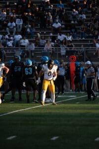 Football players on the field during a game, crowd in the stands watching intently.