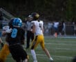 Quarterback in yellow uniform prepares to throw during a football game under stadium lights.