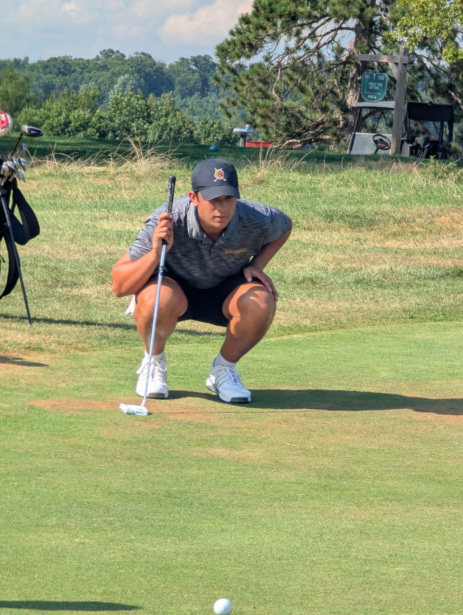 Photo Gallery of Photo Gallery