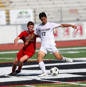 Two soccer players compete for the ball during a match.