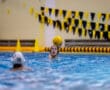 Water polo player preparing to throw a ball during a competitive pool match.