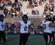 High school football players in uniform on a field during a game, with a crowd in the stadium background.