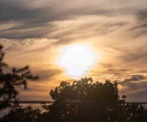 Sunset over silhouetted trees with dramatic clouds in the sky.