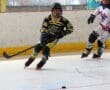 Youth roller hockey game with players in action on the rink, one wearing a yellow and black jersey.