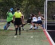 Field hockey players competing near goal, with referee and goalkeeper, on a sunny day. Game action close-up.