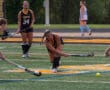 Field hockey game in action, player in black uniform strikes the ball on a green turf.