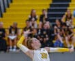 Volleyball player in jersey 32 prepares to serve during a game, with blurred spectators in background.