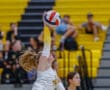 Volleyball player jumps for a powerful serve in a competitive indoor match.