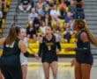 Volleyball players in intense discussion during a match, wearing Tigers jerseys on court.