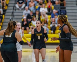 Volleyball players in intense discussion during a match, wearing Tigers jerseys on court.