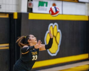 Volleyball player from Tigers team prepares to serve during a match indoors.
