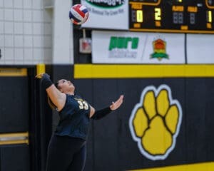 Volleyball player serving the ball in a gym with a scoreboard and paw logo in the background.