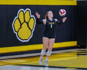 Volleyball player serving during a match, wearing black and yellow jersey, with a paw logo in the background.