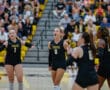 College volleyball team celebrates a point during a home game, with cheering fans in the background.