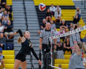 Player spikes volleyball over net during a competitive match, with referee and spectators in the background.