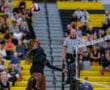 Volleyball player jumps for a spike during a match, with a referee and audience in the background.