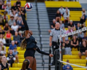 Volleyball player jumps for a spike during a match, with a referee and audience in the background.