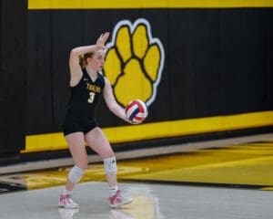 Volleyball player in action, wearing number 3 jersey, preparing to serve in a gym with a paw print logo in the background.