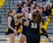 Volleyball players in black uniforms celebrate a point during a match, with teammates and audience cheering in the background.