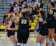 Women's volleyball team celebrating a point during a game, wearing black uniforms with a cheering audience in the background.