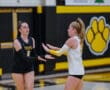 Two volleyball players in a gym during a match, high-fiving, with a large paw logo in the background.