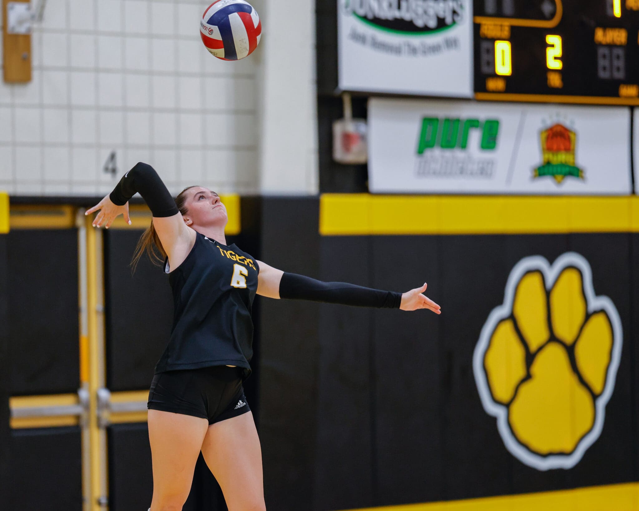 Volleyball player in black uniform serves ball during indoor game, yellow paw print in background.