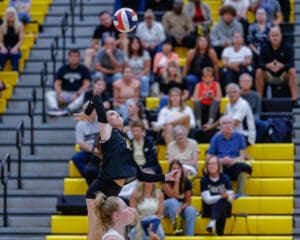 Volleyball player jumps for a spike during a game with audience in background, wearing black uniform.