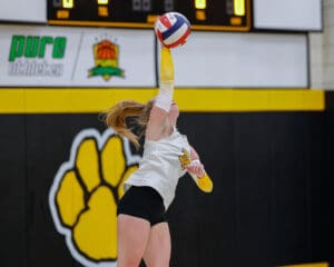 Volleyball player executes powerful jump serve in a gym with yellow paw logo in background.