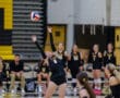 Volleyball player in black jersey jumps to hit ball during an indoor match, teammates watch from the sidelines.