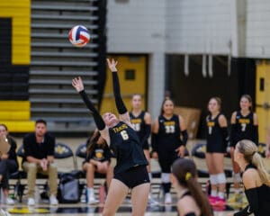 Volleyball player in black jersey jumps to hit ball during an indoor match, teammates watch from the sidelines.