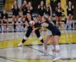 Volleyball players in action during a game, athletes focusing on the ball in a gym setting.