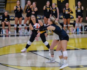 Volleyball players in action during a game, athletes focusing on the ball in a gym setting.