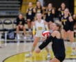 Volleyball player in black uniform preparing to hit the ball during a game in an indoor court.